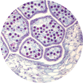 toughtfully2-ingredient-6